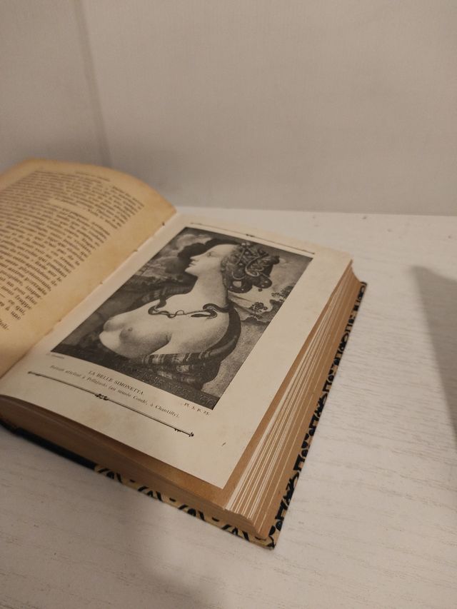 LES MASQUES ET LES VISAGES.