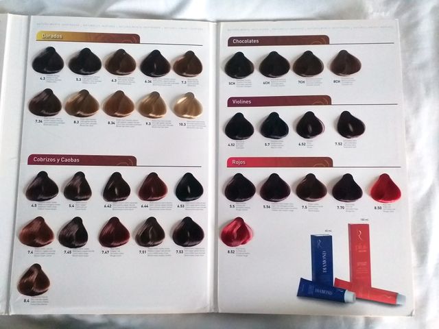 Cartões a cores Risfort