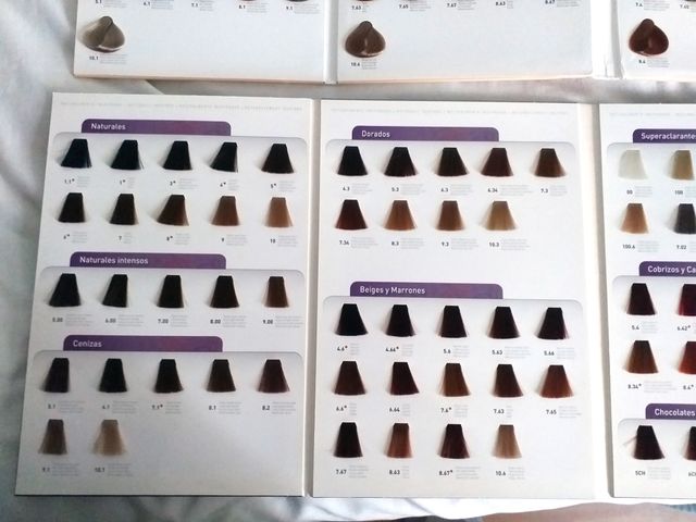 Cartões a cores Risfort