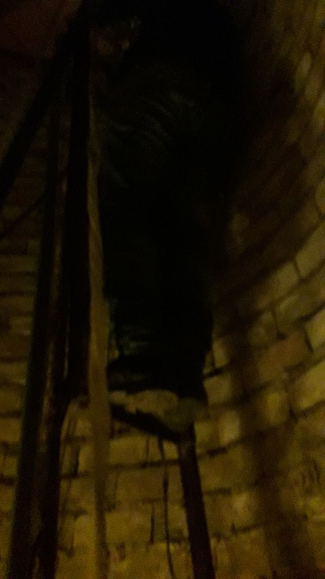 linpieza de pozos y aondamos y arreglamos