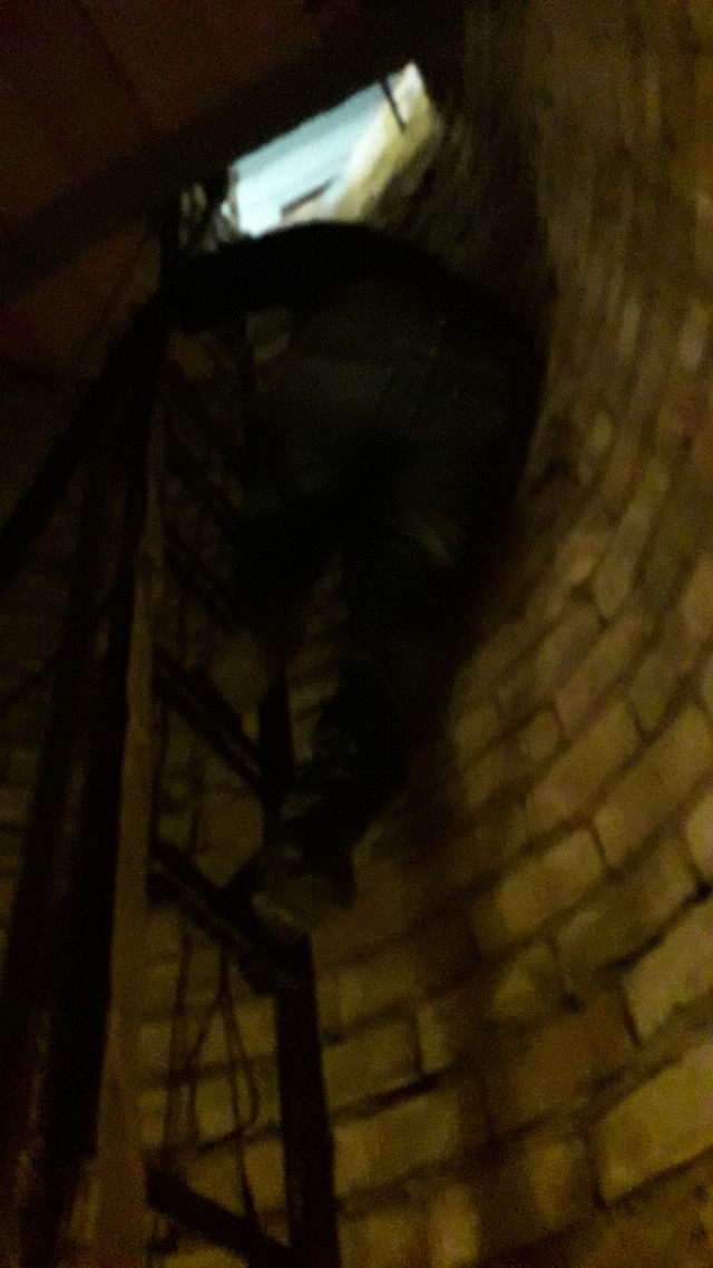 linpieza de pozos y aondamos y arreglamos