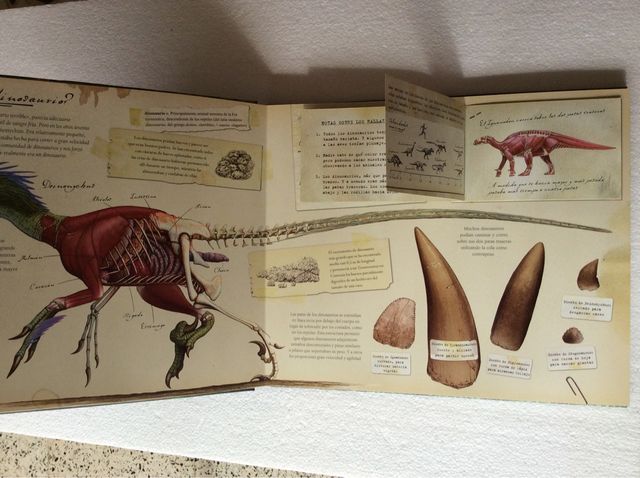Dinosaurios Libro interactivo, Montena + Póster