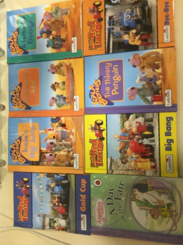 Lote de 8 libros en inglés