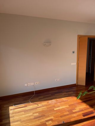 Pintor autónomo 