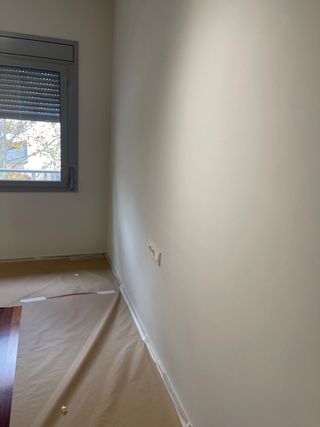 Pintor autónomo 
