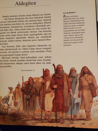 La Biblia en euskera. Infantil / juvenil 