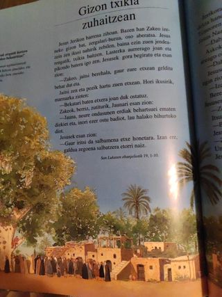 La Biblia en euskera. Infantil / juvenil 