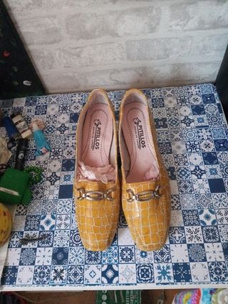 Zapatos Pitillos de piel.