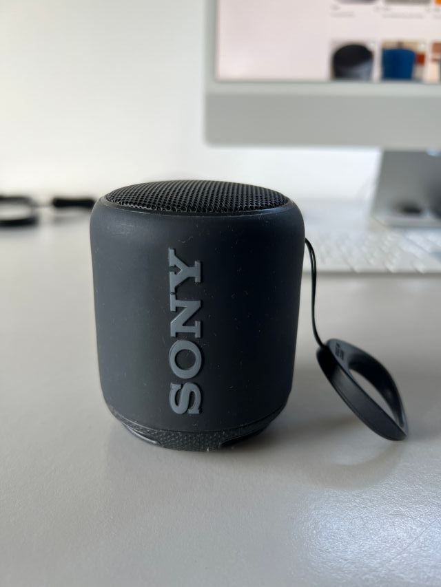 Sony SRS-XB10 Alto-Falante