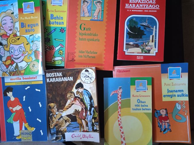 LIBROS EN EUSKERA nuevos
