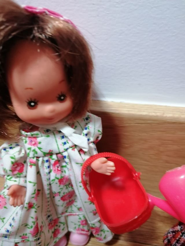 Laura de las montañas Toyse