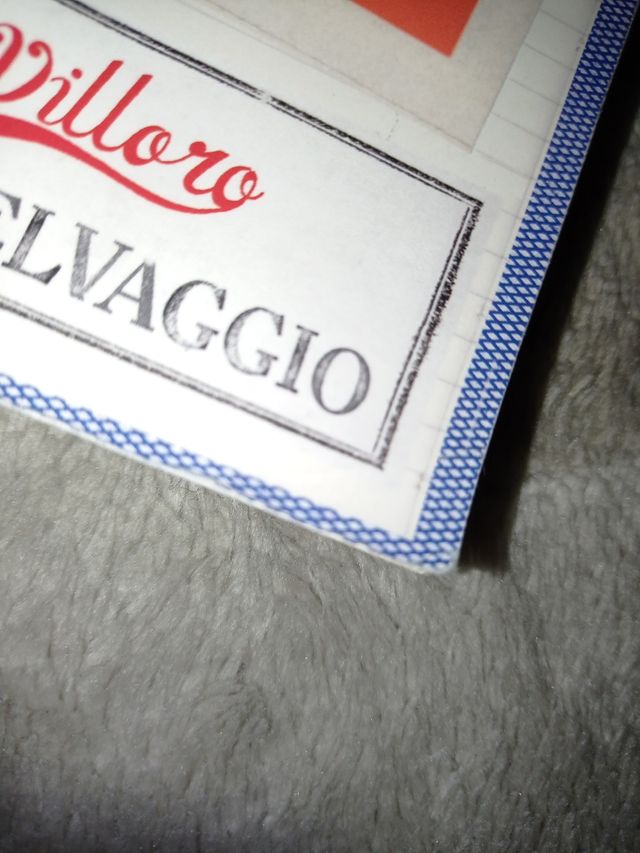 libro il libro selvaggio di Juan Villoro