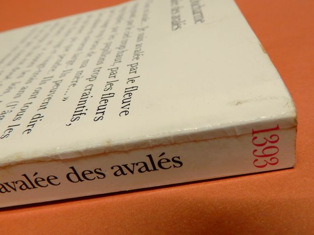 REJEAN DUCHARME - L'AVALÉE DES AVALÉS