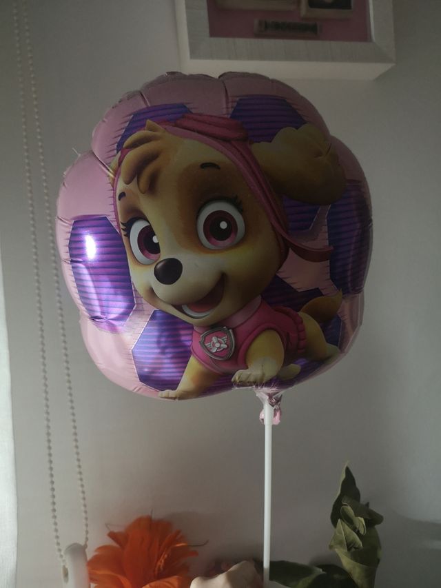 globo patrulla canina