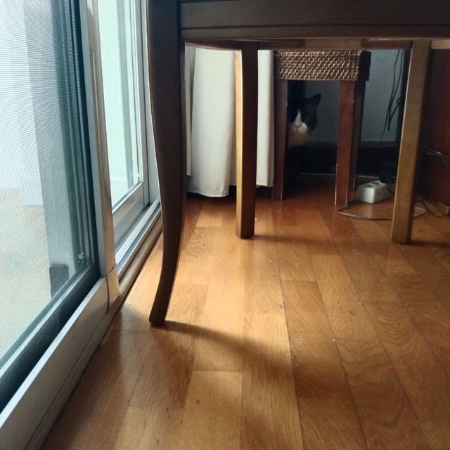 6 sillas de salón de gran calidad x tapizar