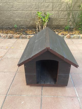 Caseta perro