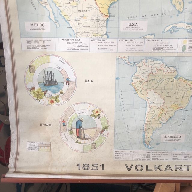 Cartel exportación algodón 