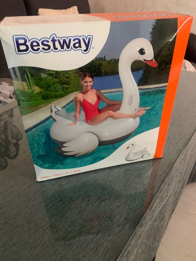 Cisne grande nuevo