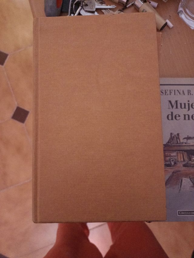 Al sur de Cartago. Fernando Schuartz