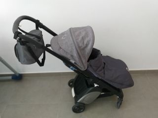 BUGABOO ANT