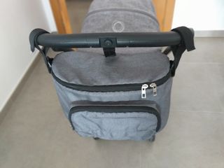 BUGABOO ANT