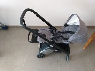 BUGABOO ANT