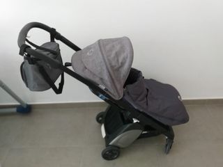 BUGABOO ANT