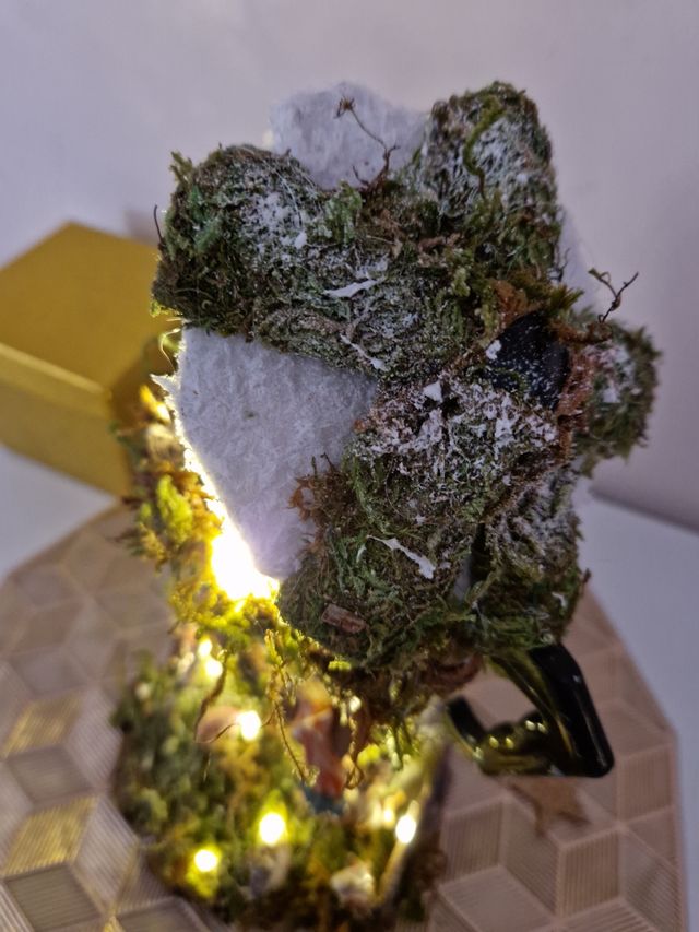 presepe in caffettiere