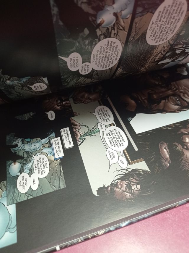 Caballero Luna 1 El fondo