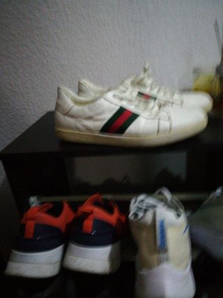 bambas Gucci 