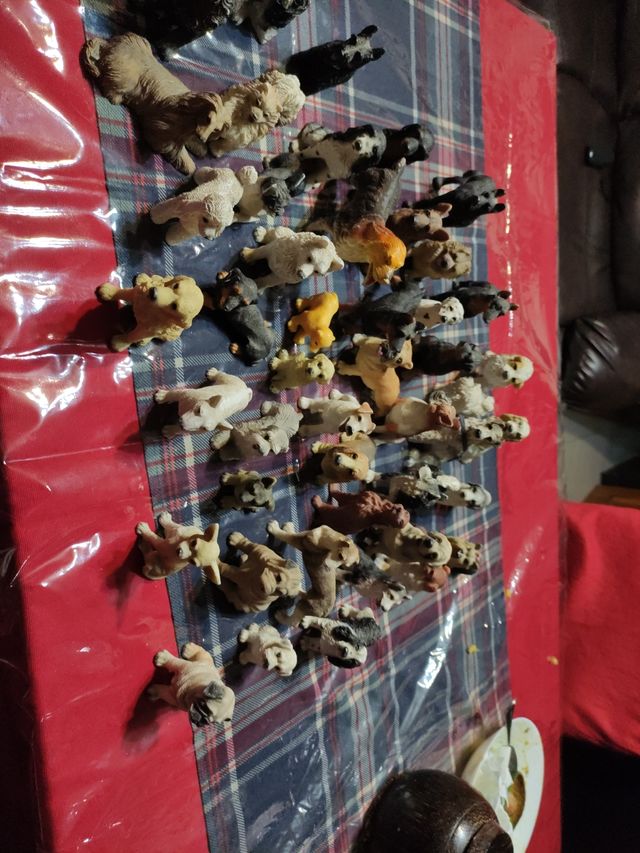 colección de perritos