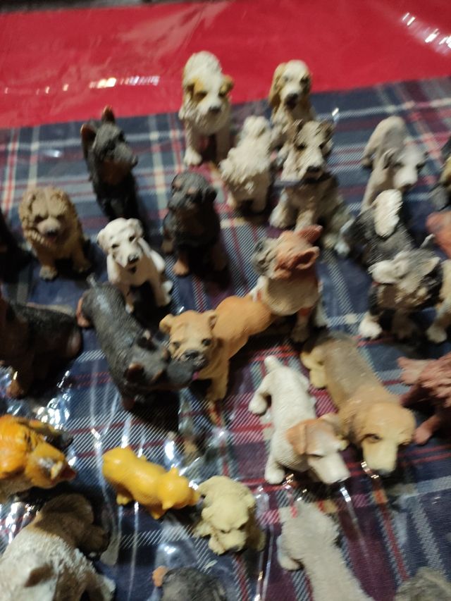 colección de perritos