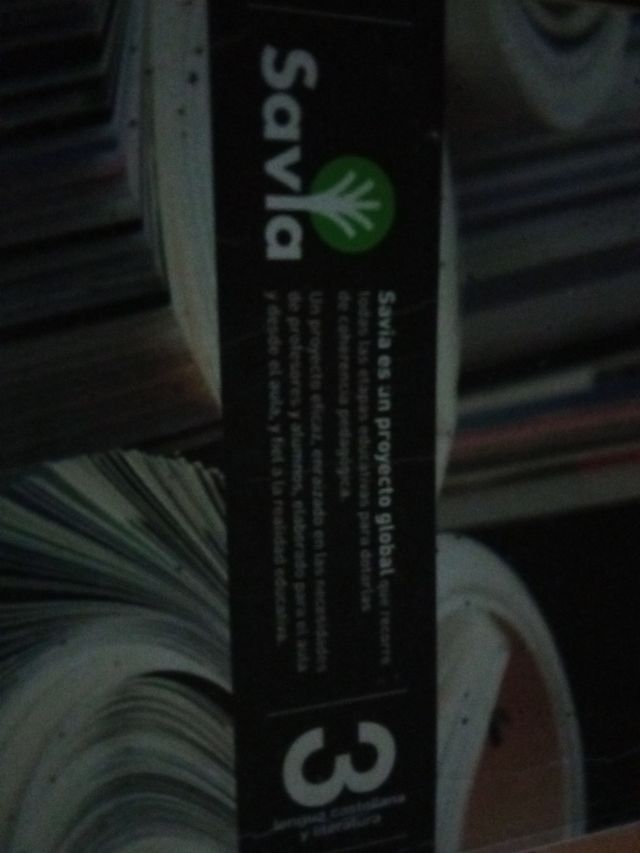 libro lengua castellana y literatura