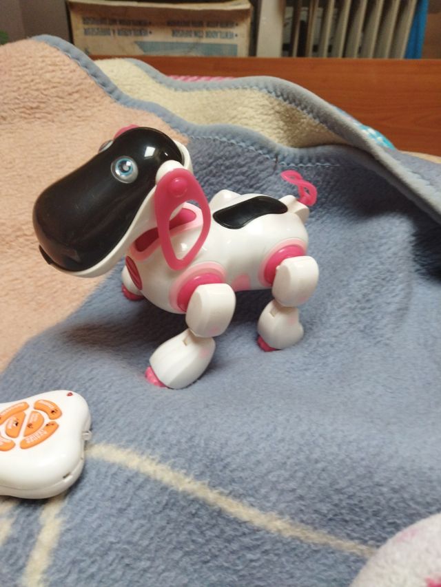 perrito robot