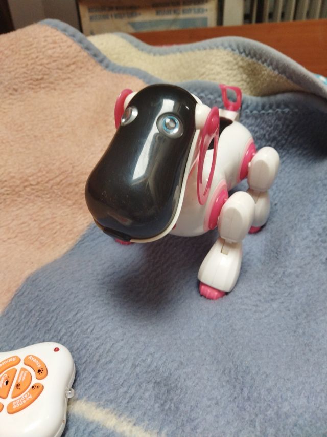 perrito robot