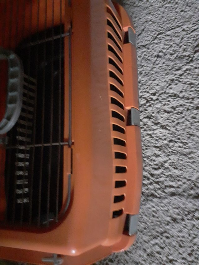 transportin animales pequeños