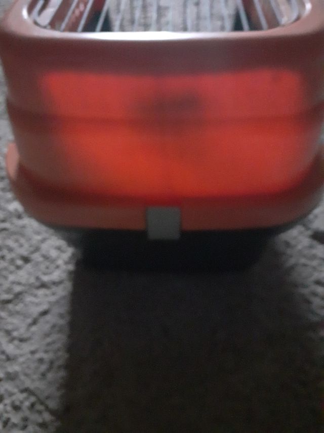 transportin animales pequeños