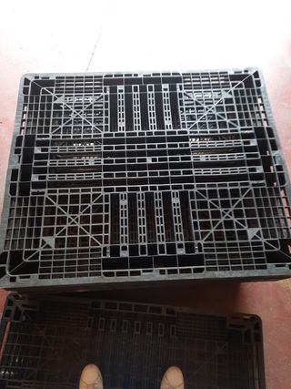 vendo palets plasticos