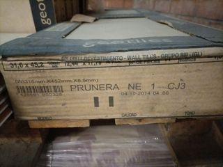 Geotiles prunera