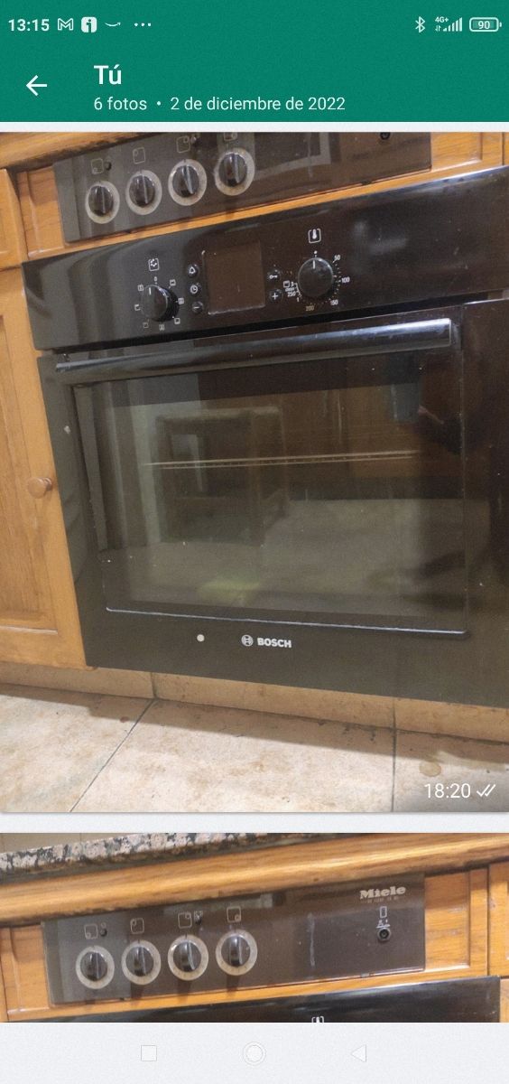 Horno Bosch
