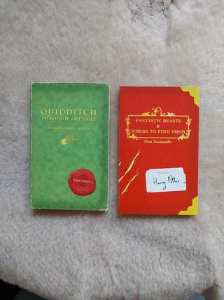 1a edición 2 librillos Harry Potter 2001 