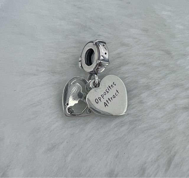 Charm Dama y Vagabundo