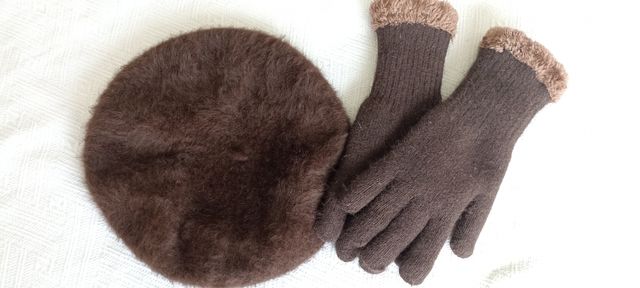 Boina y guantes marrones