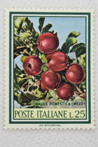91. Francobollo Malus domestica (melo) L. 25