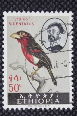 98. 2 Francobolli Etiopia Lybius Bidentatus 50 c