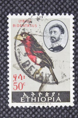 98. 2 Francobolli Etiopia Lybius Bidentatus 50 c