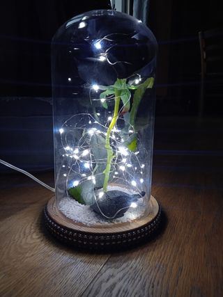 Lampada LED,rosa nera,campana vetro, usb