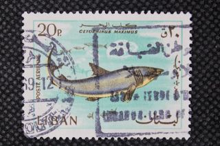 113. Francobollo Libano Maximus 20p