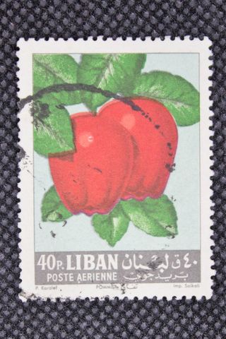 114. Francobollo Libano 40p