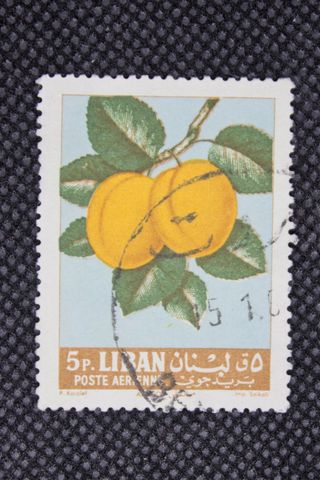 120. Francobollo Libano Poste Aerienne 5 p